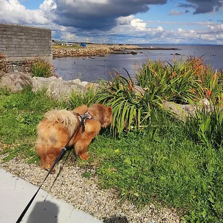 Bolishka Whispers, Spacious Bright Lägenhet Galway